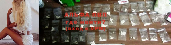 сатива Вяземский