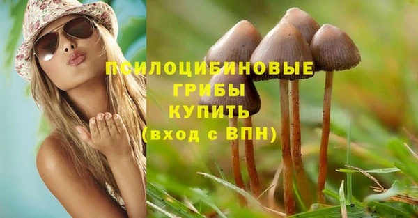 сатива Вяземский