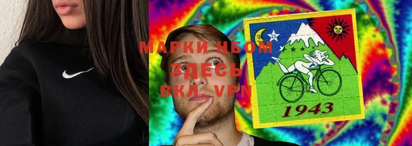 сатива Вяземский