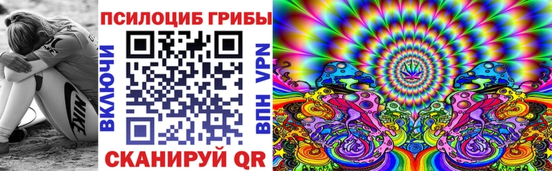 дарнет шоп  Волгодонск  Галлюциногенные грибы MAGIC MUSHROOMS 